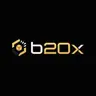 B20X