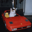 rari