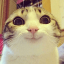 melonpi