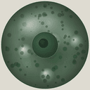 Organism