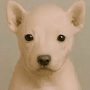RAWDOG