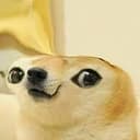 DOGE