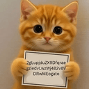 gato