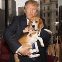 dogwiftru