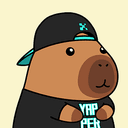 CAPY