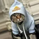 HOOD