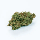 GRAM
