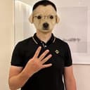 Z DOGE