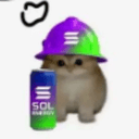 SOLCAT