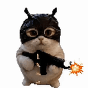 gun