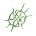 sigil