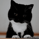TUXKIT