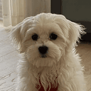 ミラ