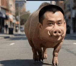 TZhao