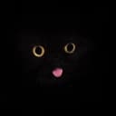 BLACKCAT