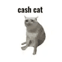 CASHCAT