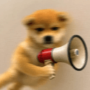 motiondog