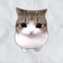 Meowpin