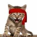 Roaring Kitty