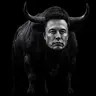 ELON