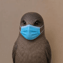 H5N1