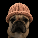 dogwifi