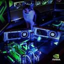 CatNvidia