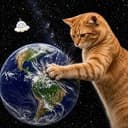 hittingcat