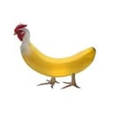 CHIKNANA