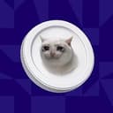 CASHCAT