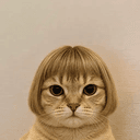 bob