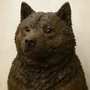 DOGSHIT