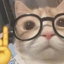 Kitty