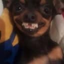 smile