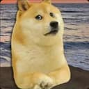 Kabosu