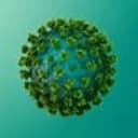 VIRUS