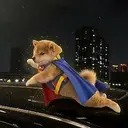 Superinu