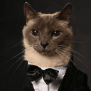 bowtie