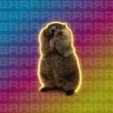 Marmot