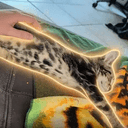 Loooong