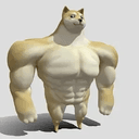 SWOLE
