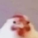greg