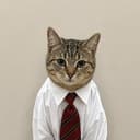 wstCAT