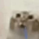 渵