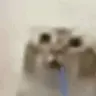 渵
