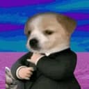 suitdog