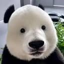 同上