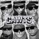 CAWTS