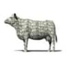 CASHCOW