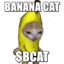 bcat